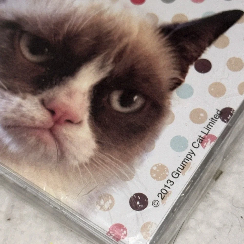 Grumpy Cat Blank Note Cards with Envelopes 8 Count Sarcastic Meme Stationery